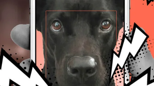 Startup usa reconhecimento facial para identificar cachorros pelo focinho