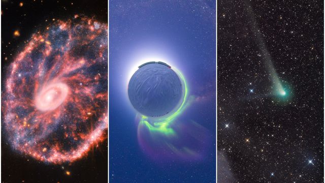 NASA, ESA, CSA, STScI, Webb ERO/A.Chokshi/R. Ligustri