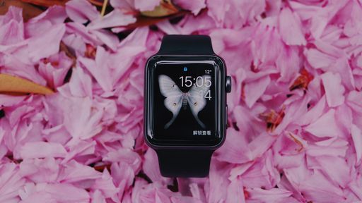 Como usar o aplicativo Fotos do Apple Watch