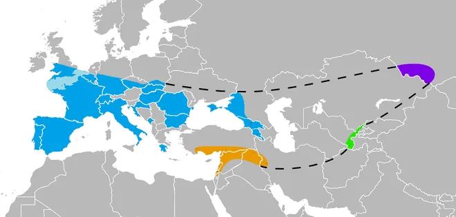 Expansão dos neandertais pela Europa e Ásia: no limite leste, à direita, vemos até onde chegaram no atual território russo siberiano, onde fica Chagyrskaya (Imagem: Nilenbert, Nicolas Perrault III/CC-BY-3.0)