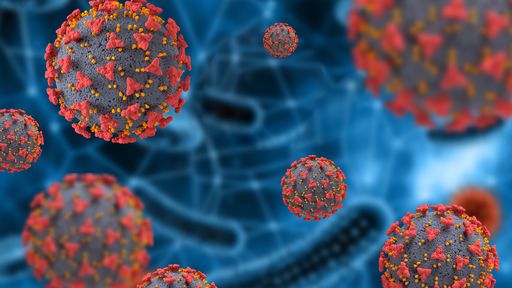 A partir de outros coronavírus, estudo aposta em imunidade curta contra COVID-19