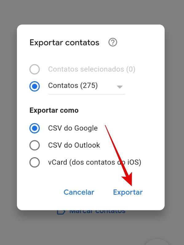 Escolha em qual formato será exportado para baixar seus contatos (Imagem: Guadalupe Carniel/Captura de tela)
