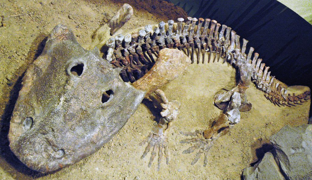 Os temnspondyli foram anfíbios que prosperaram no Permiano e até mesmo suportaram a grande extinção em massa tranquilamente — eles só perderam espaço para os dinossauros e mamíferos (Imagem: James St. John/CC-BY-2.0)