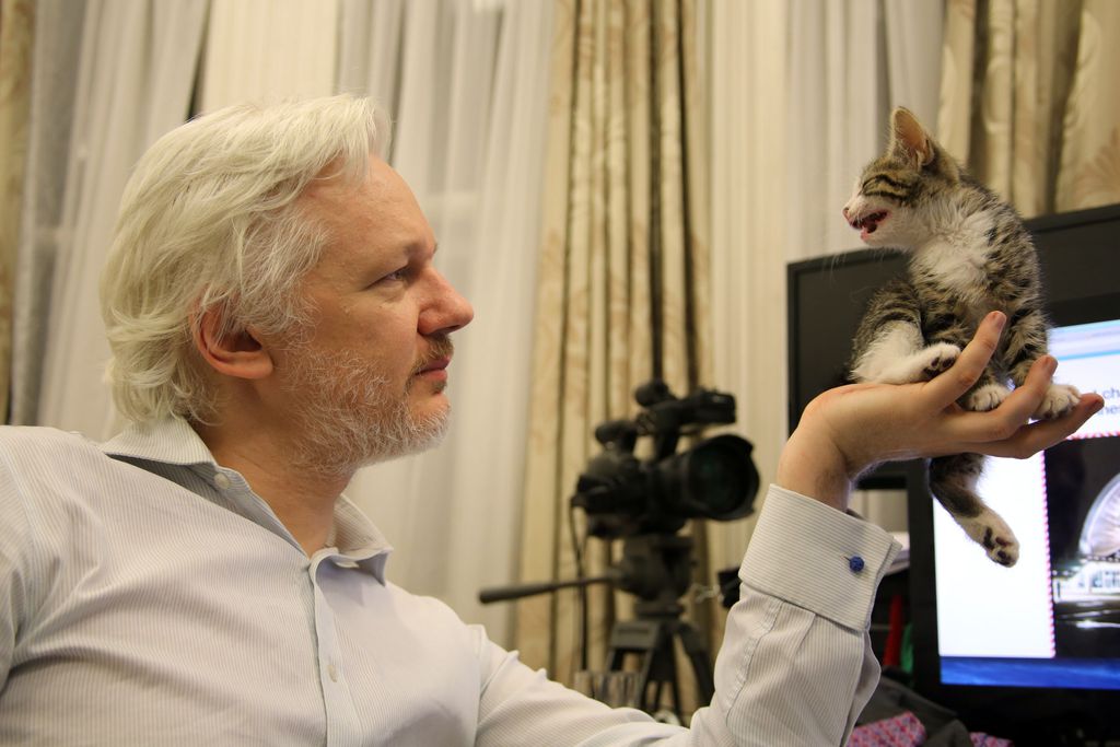Julian Assange com o gatinho ainda filhote em 2016 (Foto: AP)