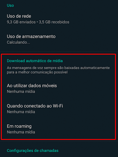 Escolha pelo download automático em diferentes conexões (Imagem: André Magalhães/Captura de tela)