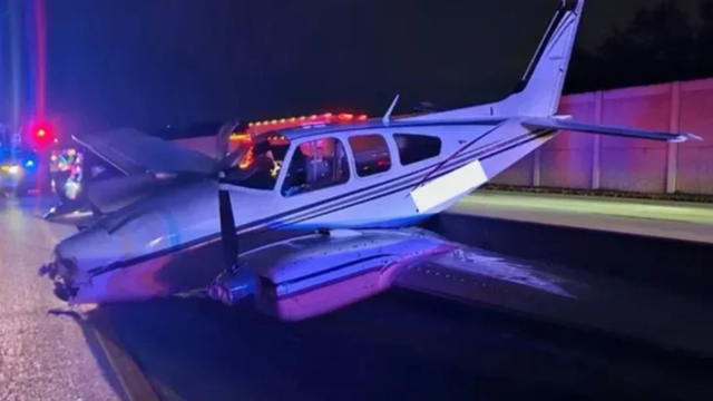 Reprodução/Patrulha Rodoviária da Flórida