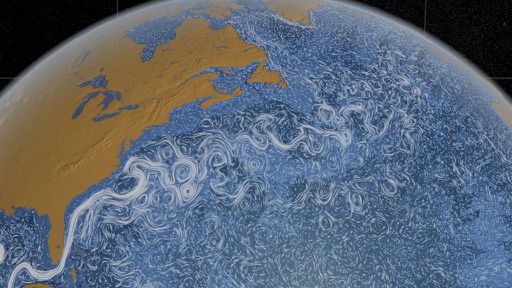 Aquecimento global tem diminuído os níveis de oxigênio dos oceanos