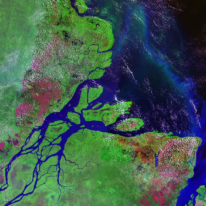 O delta do rio Amazonas lança uma grande quantidade de nutrientes e sais minerais no Oceânico Atlântico equatorial (Imagem: Reprodução/NASA)