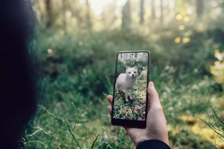 Google traz projeções de animais 3D em realidade aumentada