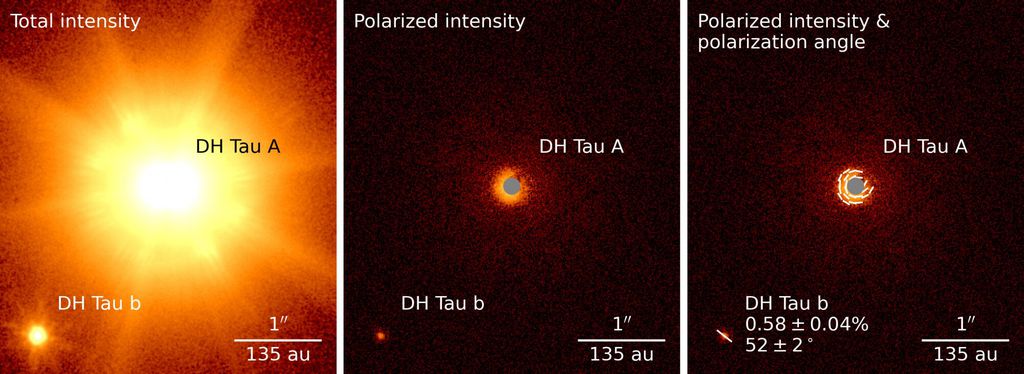 A imagem à esquerda mostra toda a luz do planeta DH Tau b, tanto não polarizada quanto polarizada. A imagem do meio mostra apenas luz polarizada, enquanto a da direita  mostra  a direção da luz polarizada (Imagem: Reprodução/ESO/VLT/SPHERE/Van Holstein)