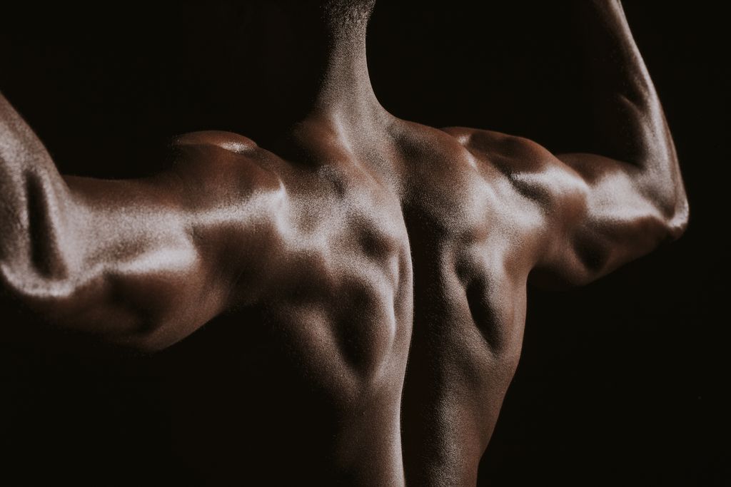 Proteína tinina é a chave para o crescimento muscular, segundo estudo britânico (Imagem: Reprodução/Rawpixel/Envato Elements)