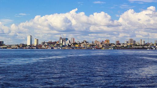 Manaus pode ter adquirido imunidade coletiva após surto da COVID-19, diz estudo