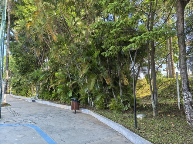 Huawei Mate XT Ultimate - Câmera principal