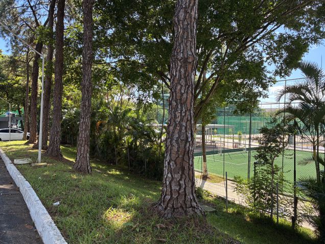 iPhone 17e - C&acirc;mera principal