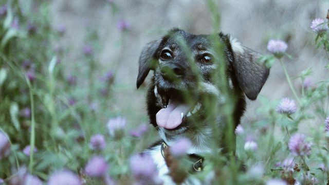 anotherxlife/Unsplash