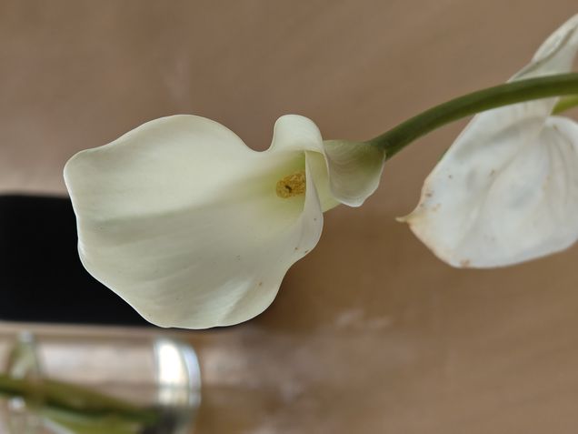 Motorola Signature - Teste de câmeras