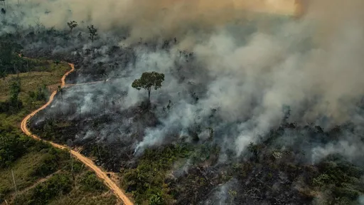 NASA mostra distribuição de monóxido de carbono com queimadas no Brasil