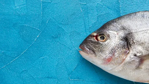 Bizarro! Peixe é encontrado nos EUA com um parasita no lugar da língua