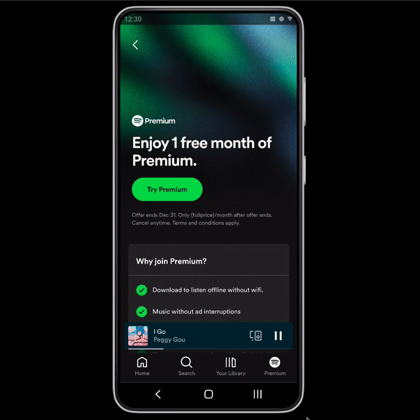 Ao assinar o Premium, o usuário pode escolher se pagará direto pelo Spotify ou pelo Google Play (Imagem: Reprodução/Spotify)