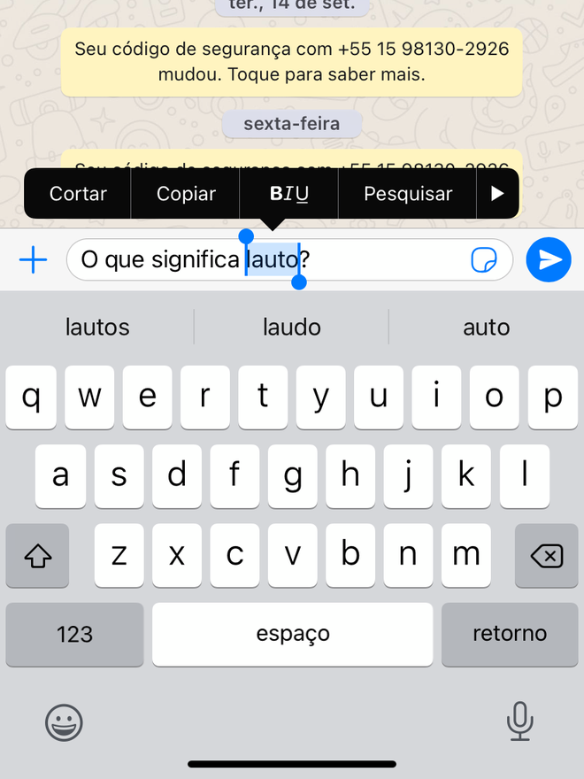 Selecione um texto no iPhone - Captura de tela: Thiago Furquim (Canaltech)