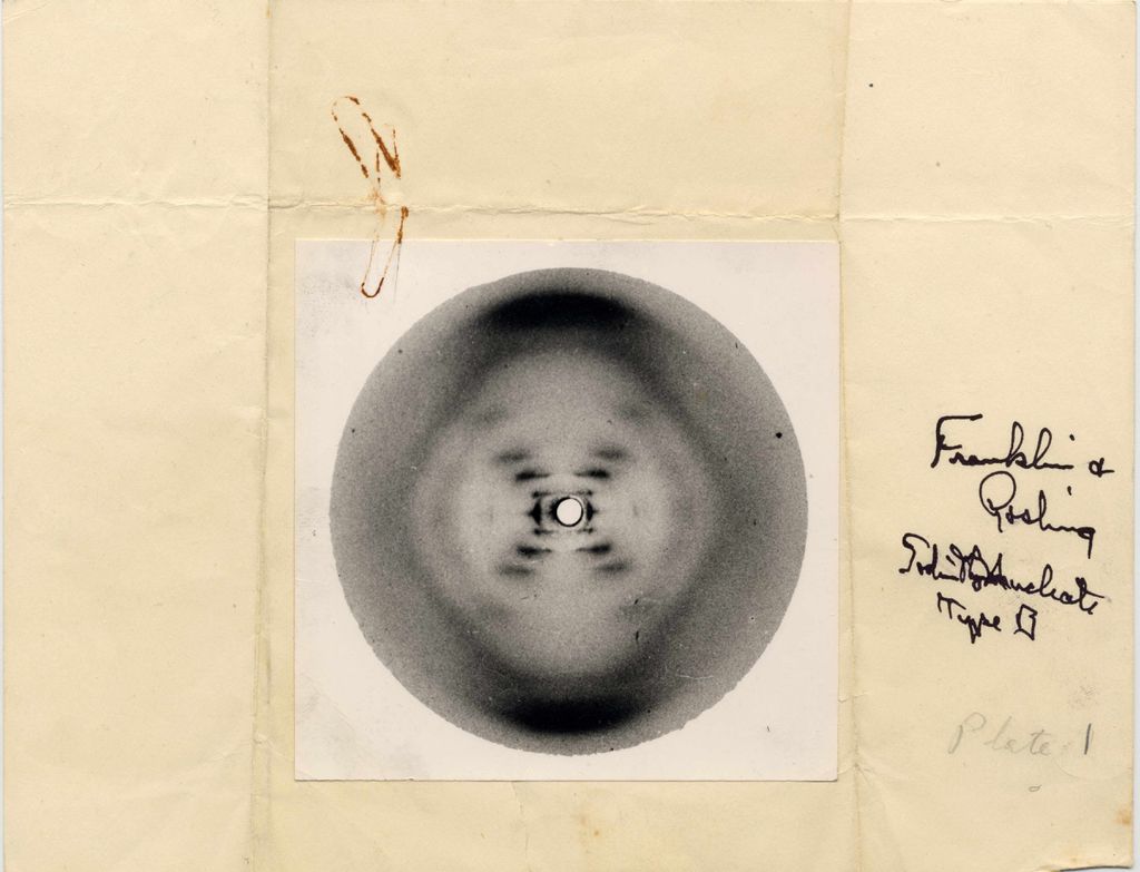 Rosalind Franklin Rosalind Franklin