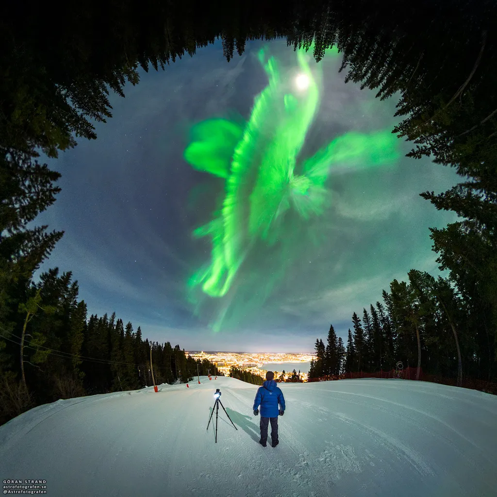 Aurora boreal formada após uma grande ejeção de massa coronal; há quem enxergue a forma de um pássaro nela (Imagem: Reprodução/Göran Strand)