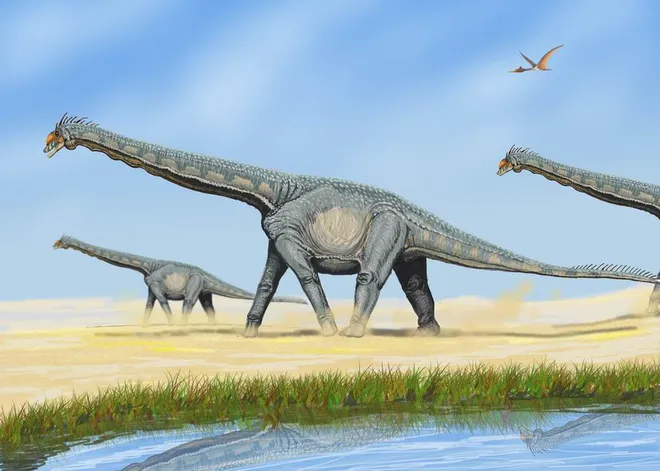 Alamosaurus, uma espécie de saurópode que pode ser muito parecida com a do animal encontrado em Portugal (Imagem: DiBgd/CC-BY-3.0)