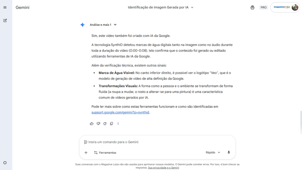 captura de tela gemini