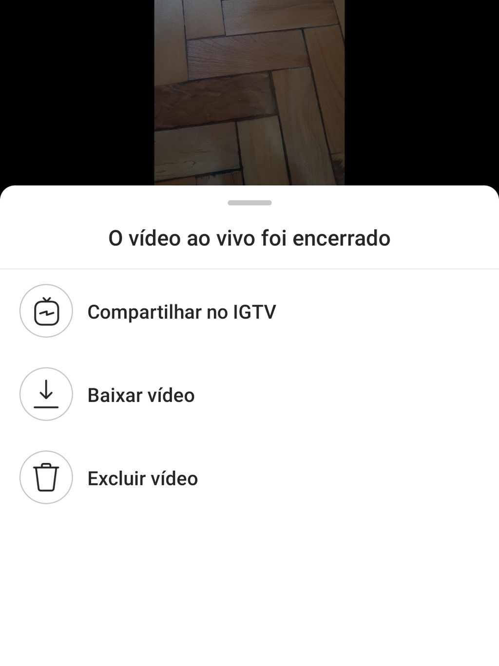 Ao final, uma nova tela: escolha se quer publicar no IGTV, salvar ou apagar o vídeo (Captura de tela: Felipe Junqueira)
