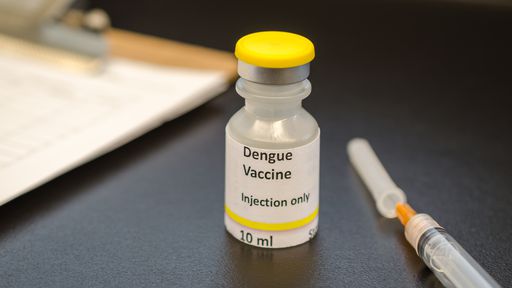 Butantan testa vacina contra a dengue em humanos; confira o que sabemos