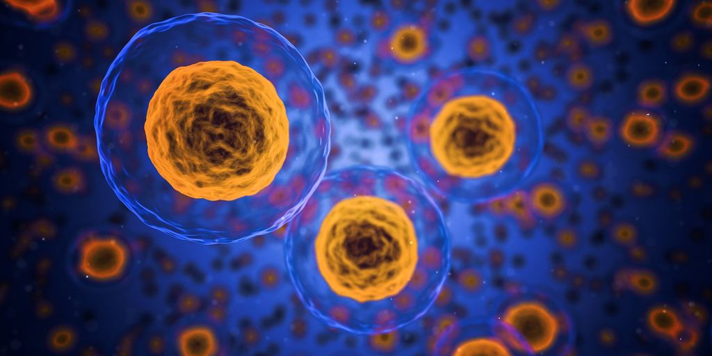 Estudos com células-tronco estão representando um grande avanço na área da saúde (Imagem: Pixabay)