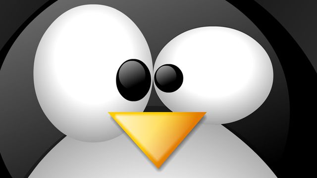 Linux 4.8 tem bug que pode comprometer seu kernel, admite criador do sistema
