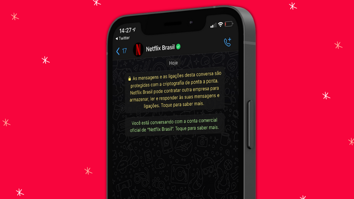 Netflix distribui figurinhas divertidas no WhatsApp; veja como salvar, Tecnologia