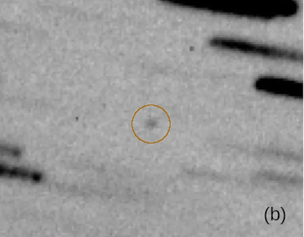 Detecção do asteroide 2020 XL5, com o Lowell Discovery Telescope (Imagem: Reprodução/T. Santana-Ros; et al)