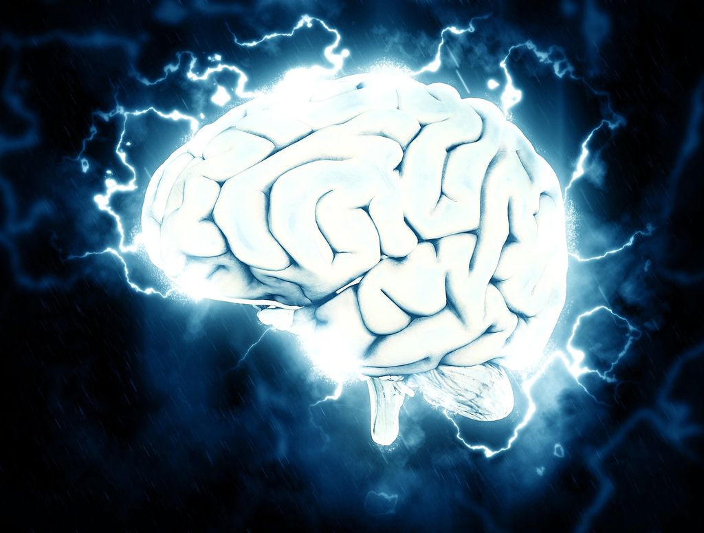 Pesquisadores desenvolvem minicérebros em laboratório (Imagem: Reprodução/ Pete Linforth / Pixabay )