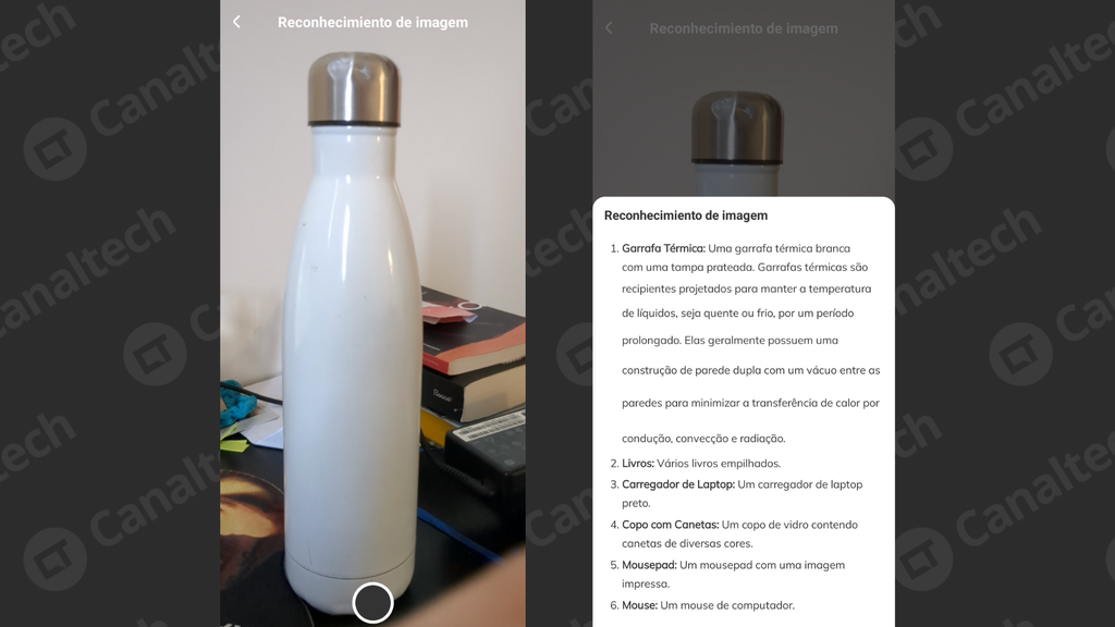 (Imagem: Captura de tela/Emanuele Almeida/Canaltech)