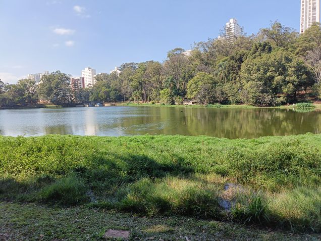 Foto feita com o Oppo Reno 11F