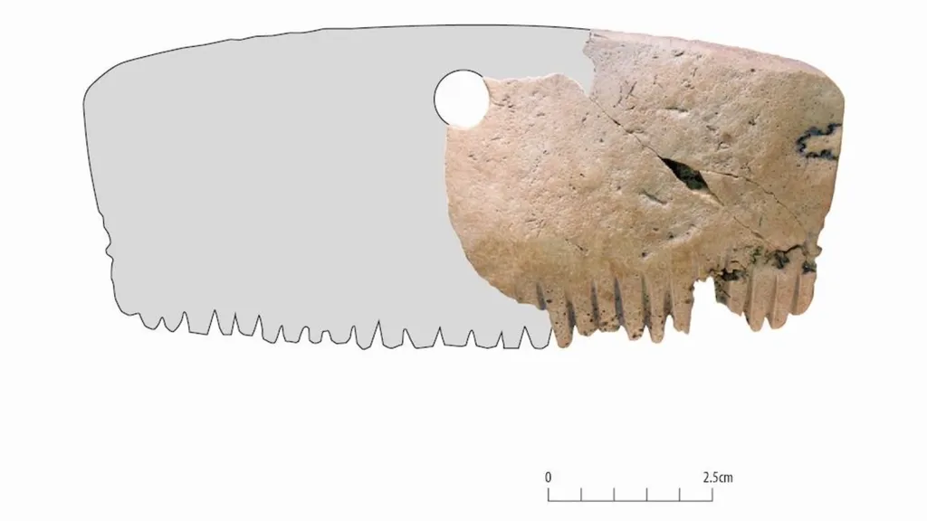 Um furo no topo e centro do suposto pente pode indicar que era, na verdade, um ornamento (Imagem: Museum of London Archaeology (MOLA))
