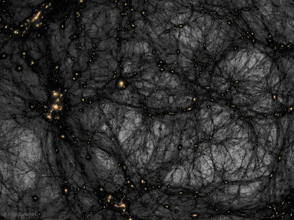 Um mapeamento da matéria escura (Imagem: Reprodução/Tom Abel & Ralf Kaehler/AMNH)