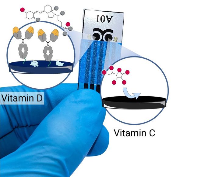 Chip mede o nível de vitamina C e de vitamina D, a partir da saliva (Imagem: Martins et al., 2024/ACS Applied Nano Materials)