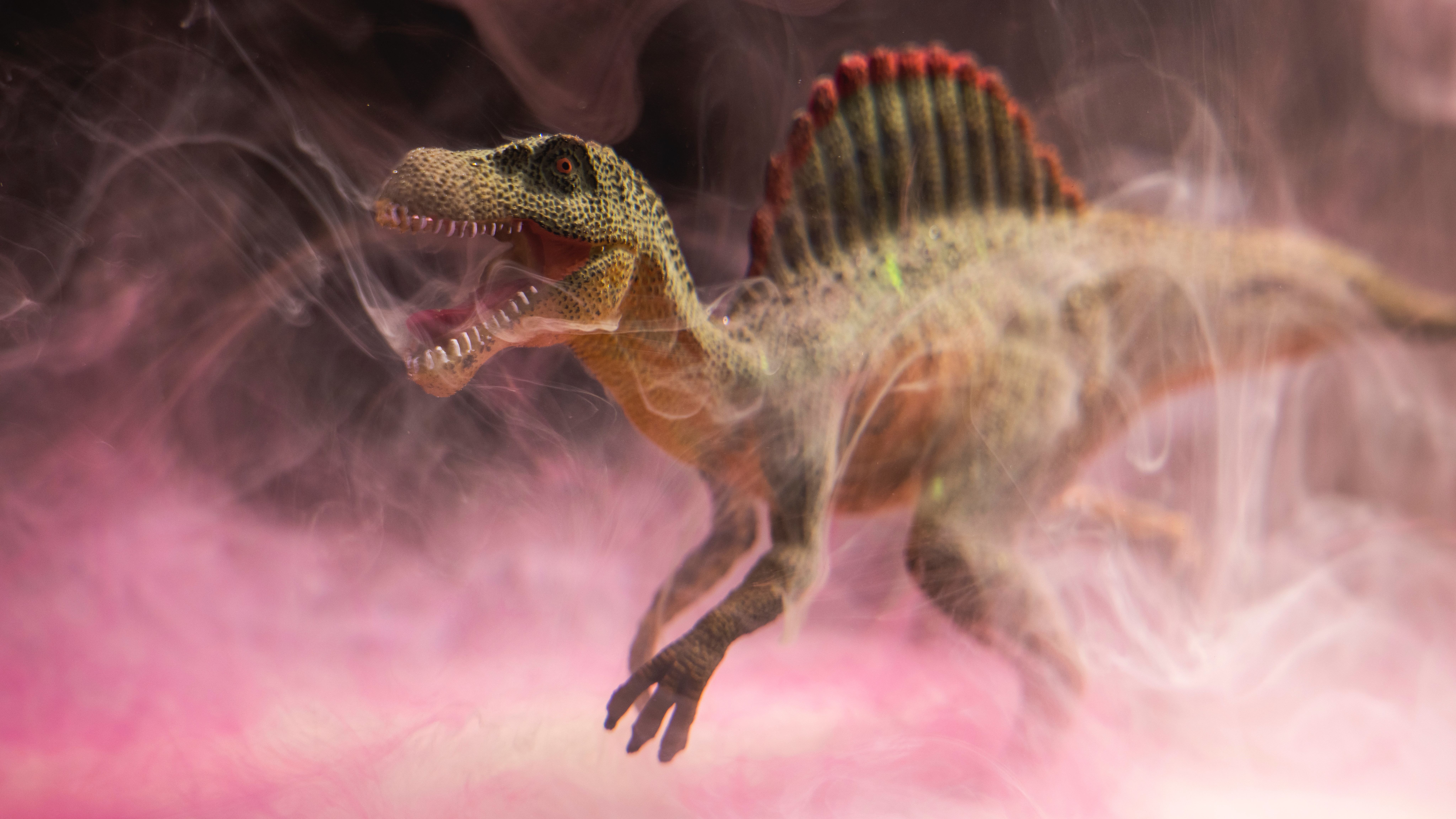 A misteriosa vida sexual dos dinossauros