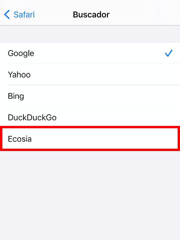 Agora o Safari permite que você selecione o Ecosia como buscador padrão (Captura de tela: Bruno Salutes/Canaltech)