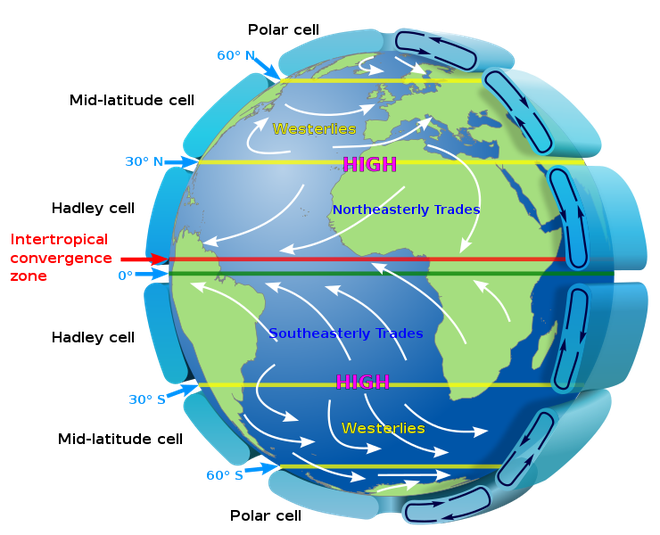 Tanto o hemisfério sul quanto o norte possuem esses ventos predominantes que variam de acordo com a latitude (Imagem: Reprodução/Domínio Público)