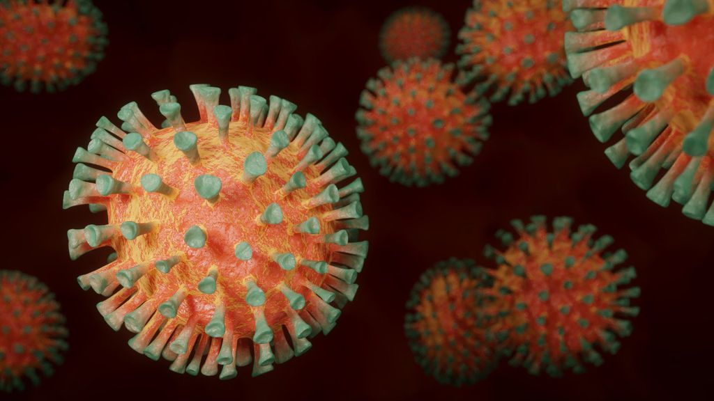 1 + 1 = 2: recombinação de duas variantes pode acontecer com o coronavírus (Imagem: Daniel Roberts/Pixabay)