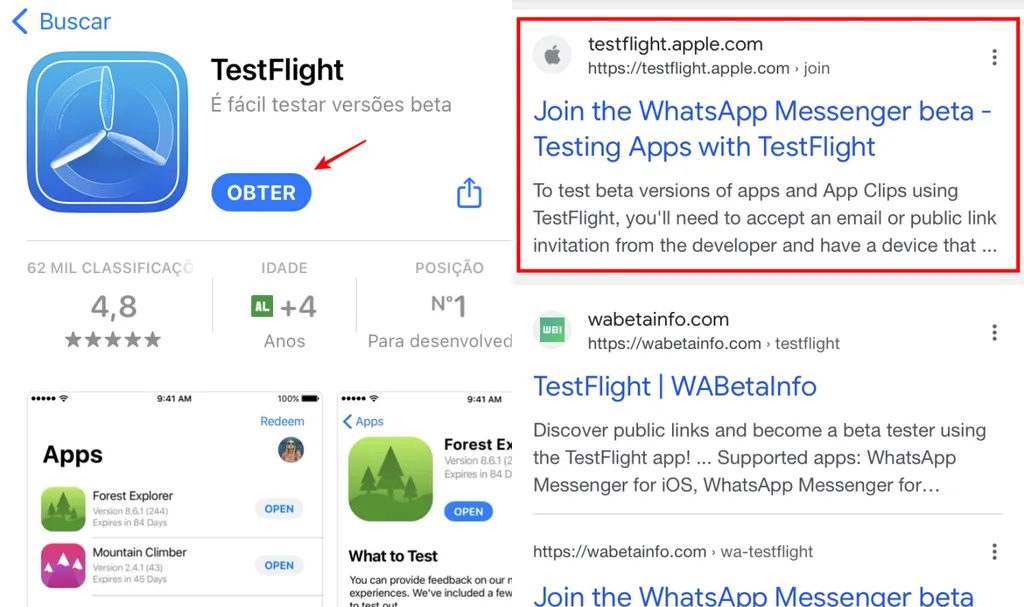 Você pode baixar o WhatsApp Beta no iOS através do app TestFlight (Imagem: Captura de tela/Fabrício Calixto/Canaltech)