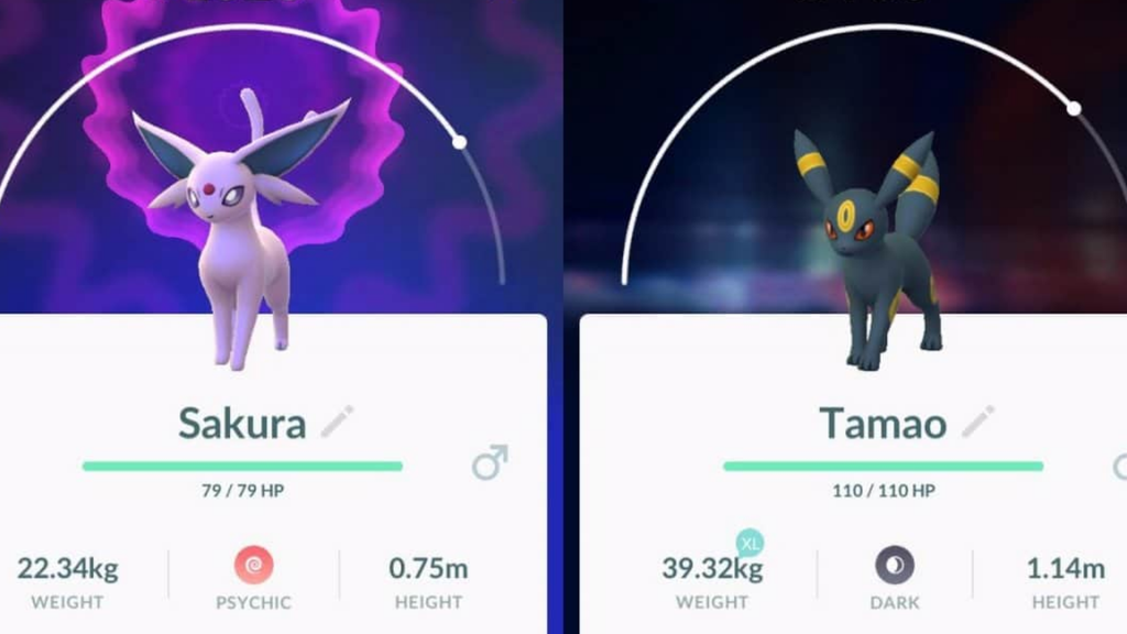 Como evoluir seu Eevee para Espeon e Umbreon em Pokémon GO - TecMundo