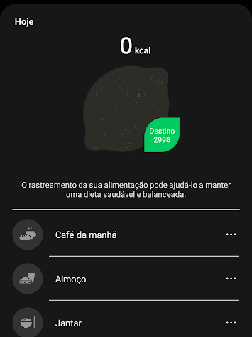 Insira seu registro de refeições (Imagem: André Magalhães/Captura de tela)