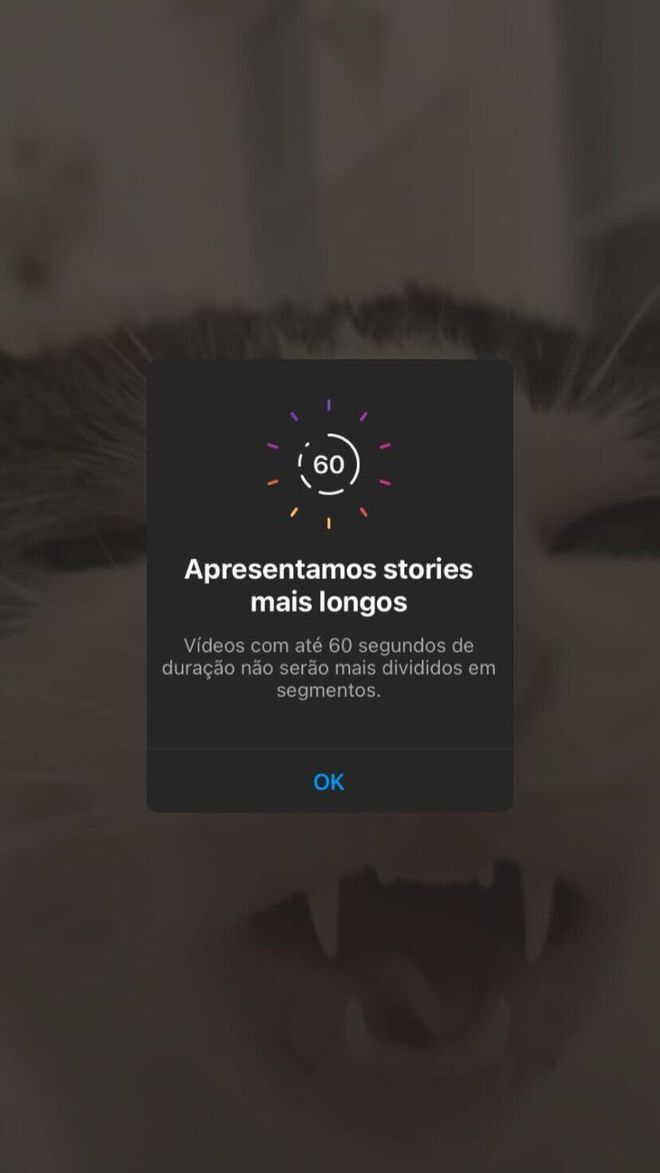 Stories de até um minuto de duração são disponibilizados em teste também para brasileiros (Imagem: Victor Carvalho/Canaltech)