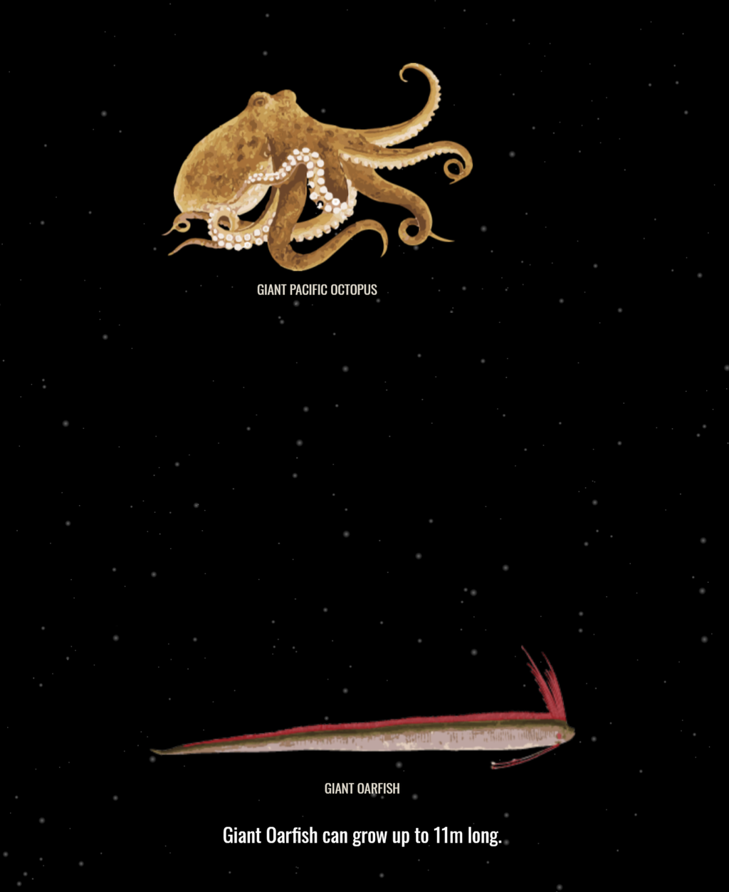 Dignas da ficção científica: há uma série de criaturas gigantes no fundo do mar (Captura de tela: Fidel Forato/Canaltech)