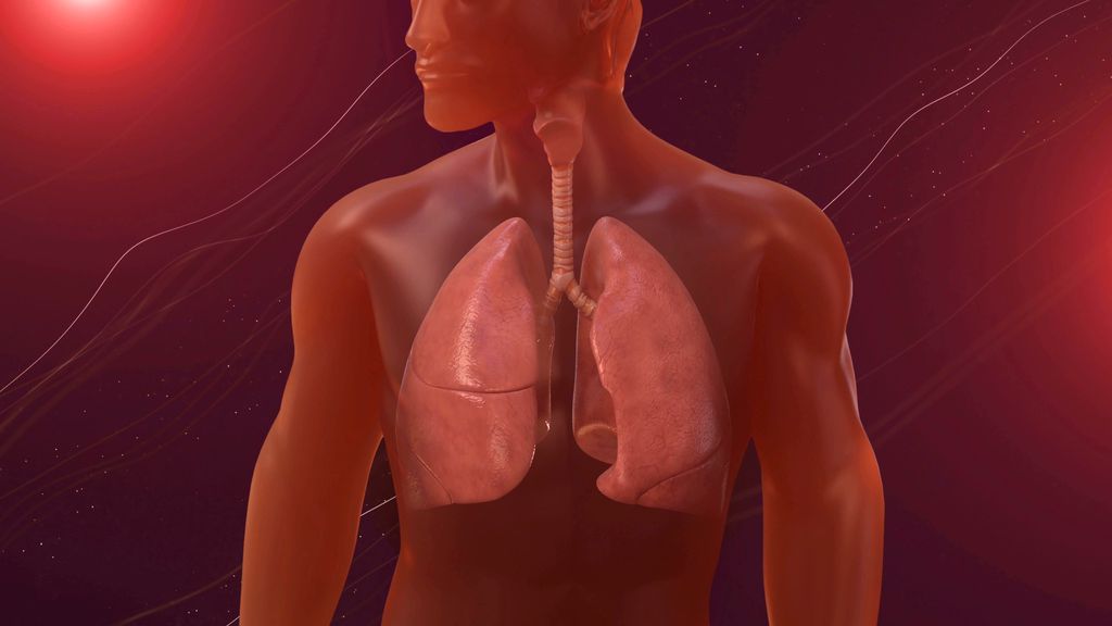 Em casos raros, os patógenos do pulmão podem provocar sequelas duradouras na saúde (Imagem: Divinebot/Envato )